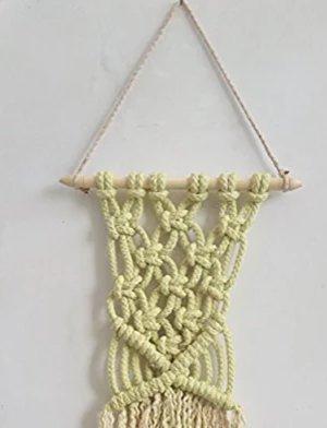 Hand-Dyed Macrame Wall Hanging Handmade by Women Artisans