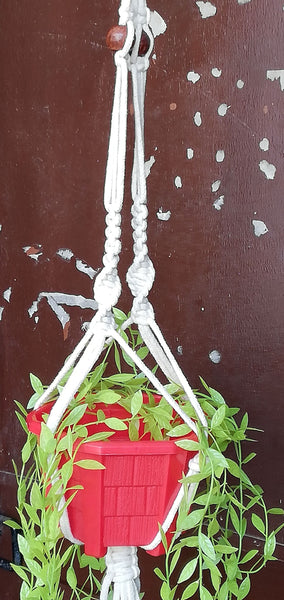 Nipun - Macrame Plant Holder Handmade by Women Artisans