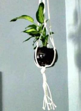 Surup - Macrame Plant Holder Handmade by Women Artisans