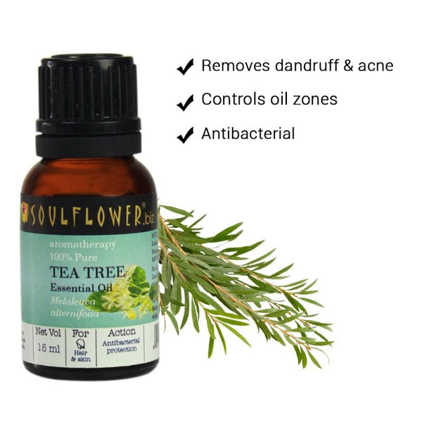 Soulflower Essential Oil Tea Tree Nett Vol, 15ml