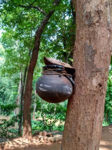 Eucalyptus Honey