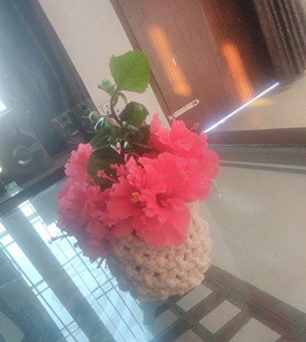 Macrame Multipurpose Basket and Plant Holder Handmade by Women Artisans