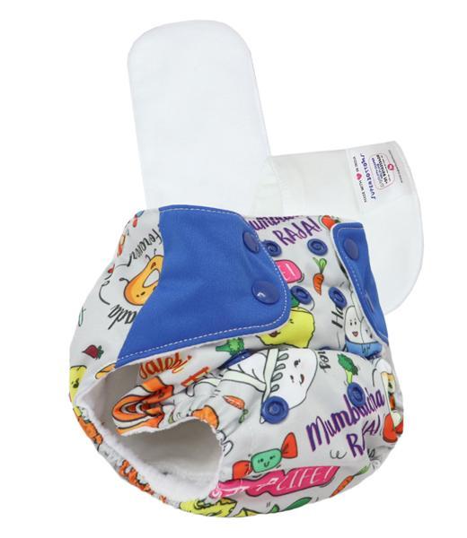All-in-OneReusable Cloth Diaper with 2 Organic Cotton Dry Feel Soakers [Day & Night Use] - Wandering Foodie