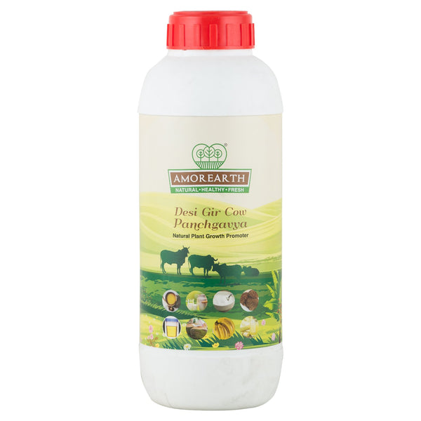 Desi Gir Cow Panchagavya - Natural Plant Growth Promoter