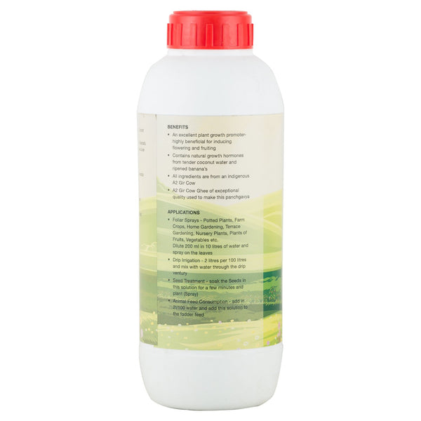 Desi Gir Cow Panchagavya - Natural Plant Growth Promoter