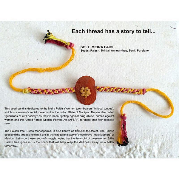 Assorted Plantable Seed Rakhis - SB01, SB10, SB17 (Pack of 3 )