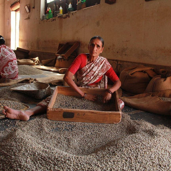 The Wanderoo - Biodiversity Friendly Coffee (100% Arabica)