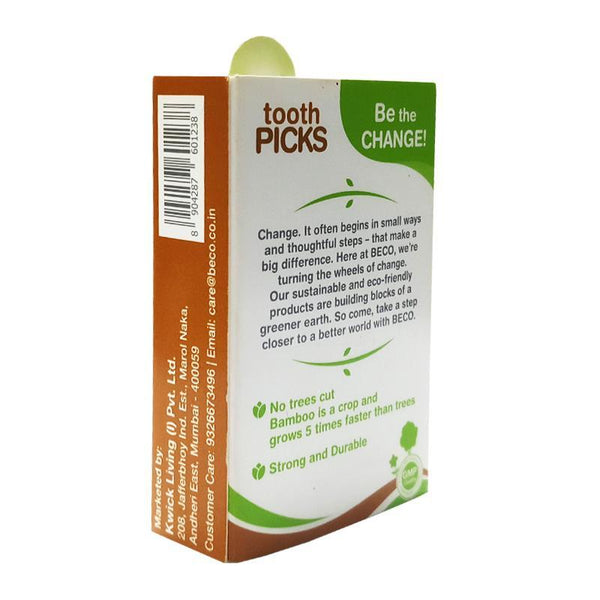 Eco-Friendly Bamboo Toothpicks - 100 picks
