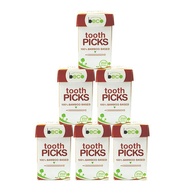 Eco-friendly Bamboo Toothpicks - 250 picks