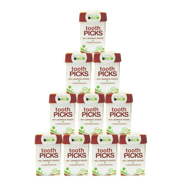 Eco-friendly Bamboo Toothpicks - 250 picks