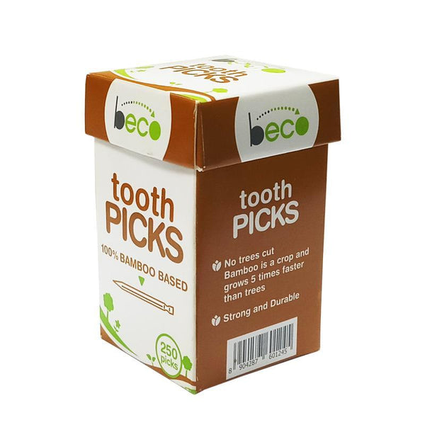 Eco-friendly Bamboo Toothpicks - 250 picks
