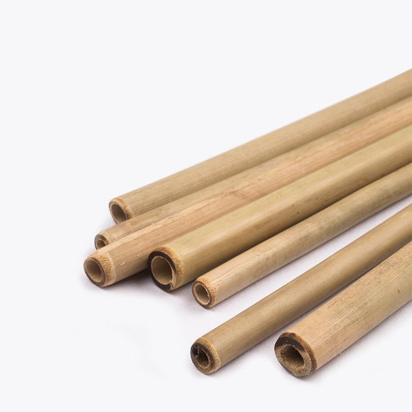 Reusable Bamboo Straws (Set of 10)