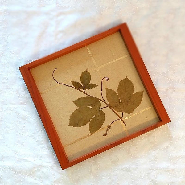 Handcrafted Square Serving Tray embellished with Dried Vine Leaves (Beige & Gold)