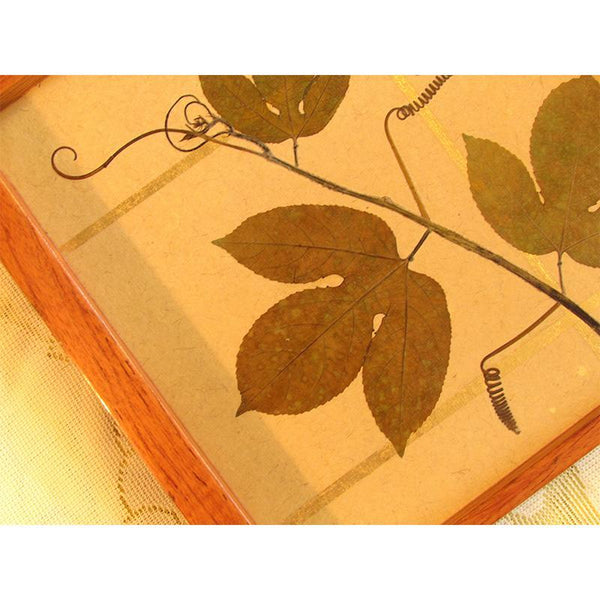 Handcrafted Square Serving Tray embellished with Dried Vine Leaves (Beige & Gold)