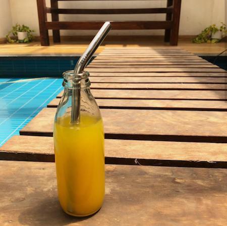 Chunky Stainless Steel Straw - Bent
