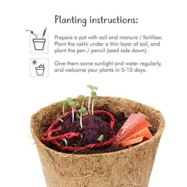 Eco-Friendly Adult Rakhi Kit with Plantable Seed Rakhi and Plantable Seed Pencil