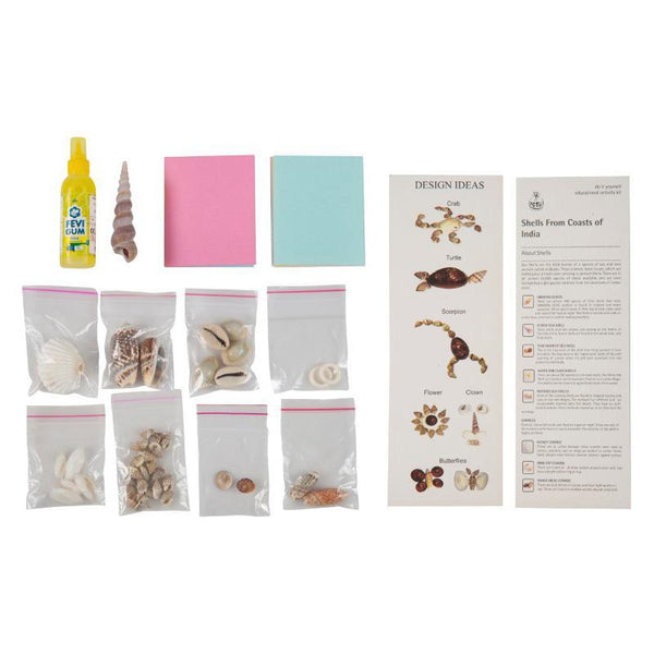 Children's Educational Shell Craft Kit