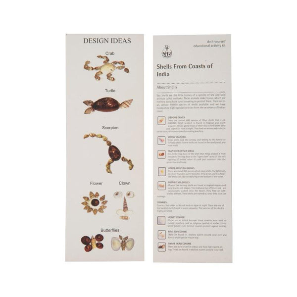 Children's Educational Shell Craft Kit