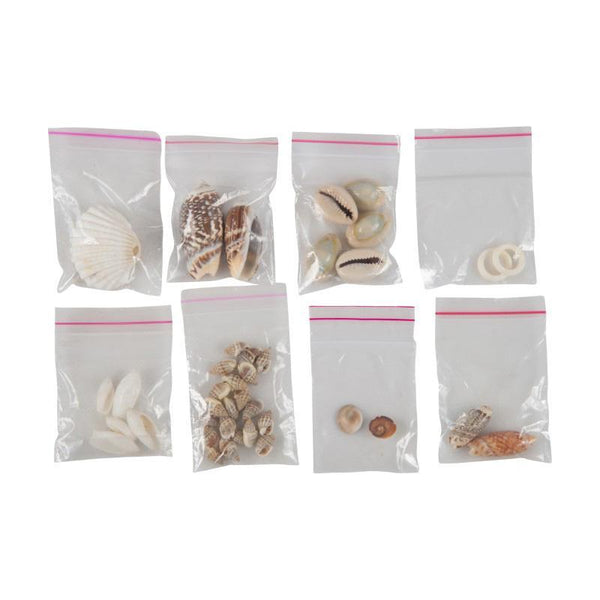Children's Educational Shell Craft Kit