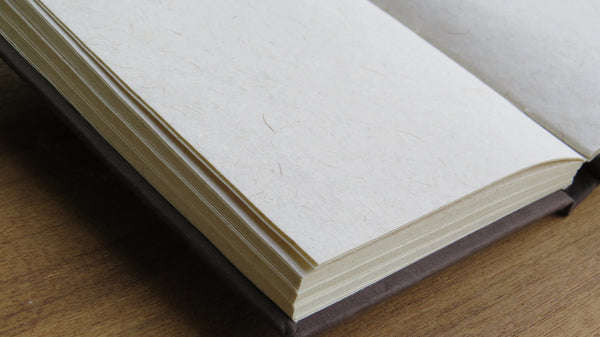 Handmade Paper A5 Size Diary (100 pages)