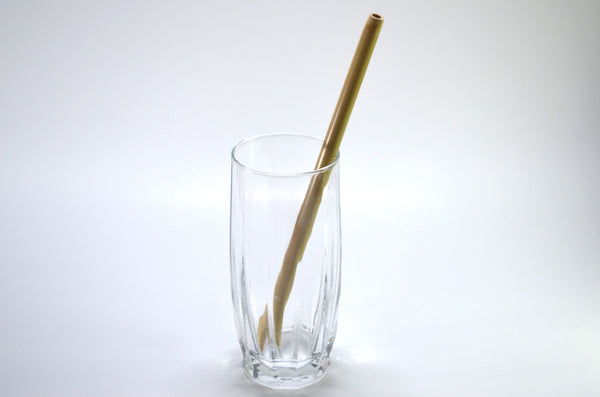 Natural Bamboo Straws (Pack of 4)
