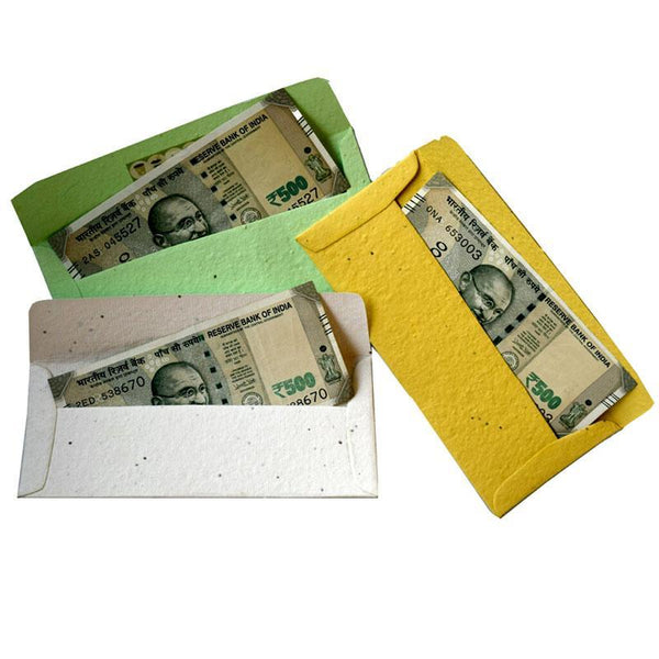 Plantable Seed Embedded Envelopes - Pack of 6