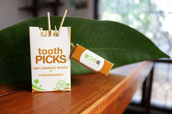 Eco-Friendly Bamboo Toothpicks - 100 picks
