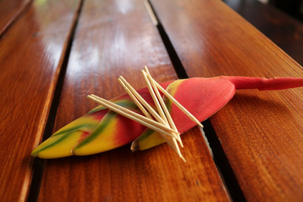 Eco-friendly Bamboo Toothpicks - 250 picks