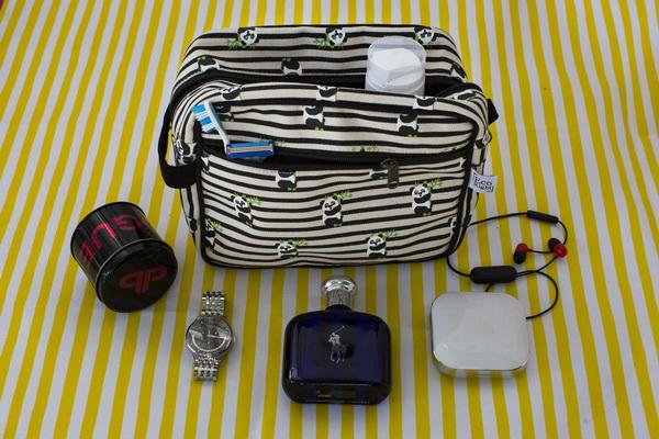 Reusable Natural Canvas Travel Pouch - Panda Stripes