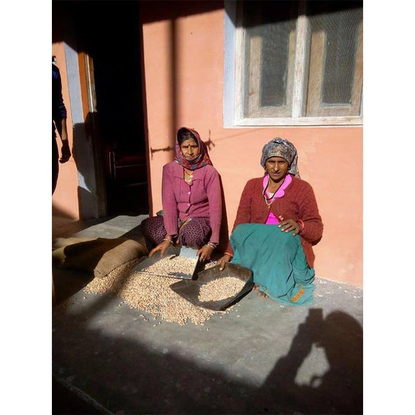 Multi Millet Porridge Mix from the Himalayas, 1.5kg