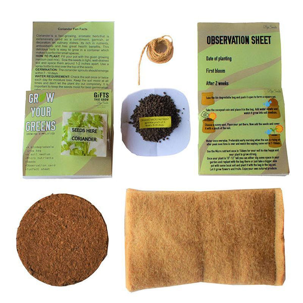 Grow Your Greens Kit: Coriander