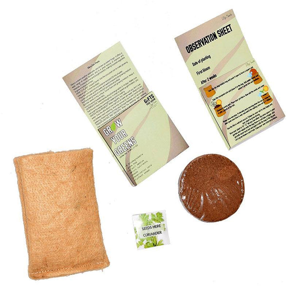 Grow Your Greens Kit: Coriander