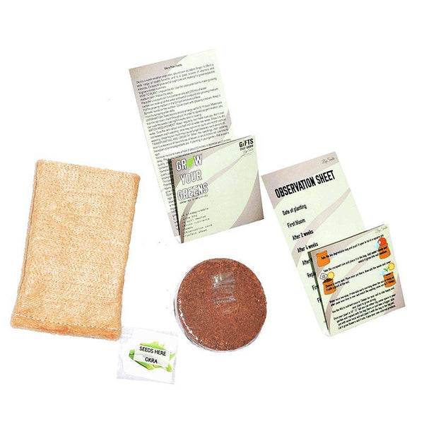 Grow Your Greens Kit: Okra