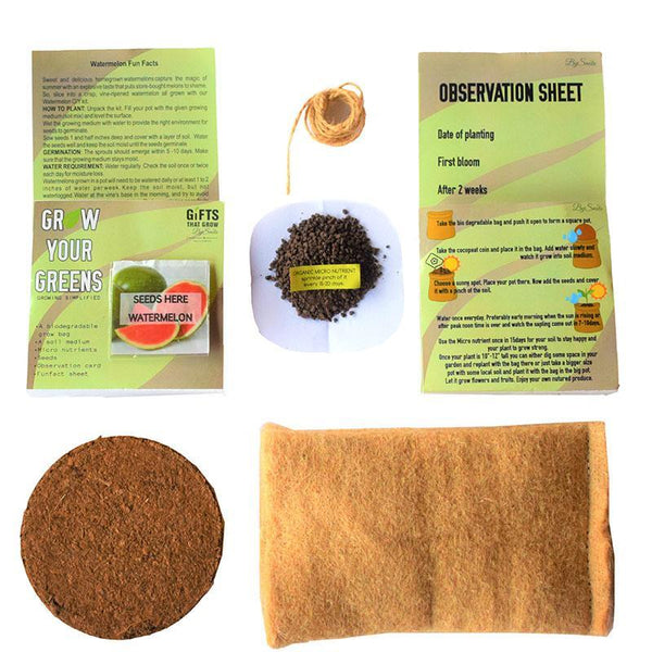 Grow Your Greens Kit: Watermelon