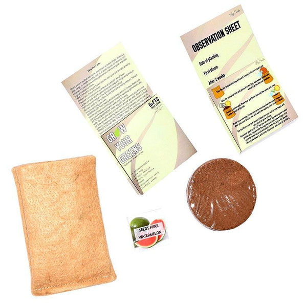 Grow Your Greens Kit: Watermelon
