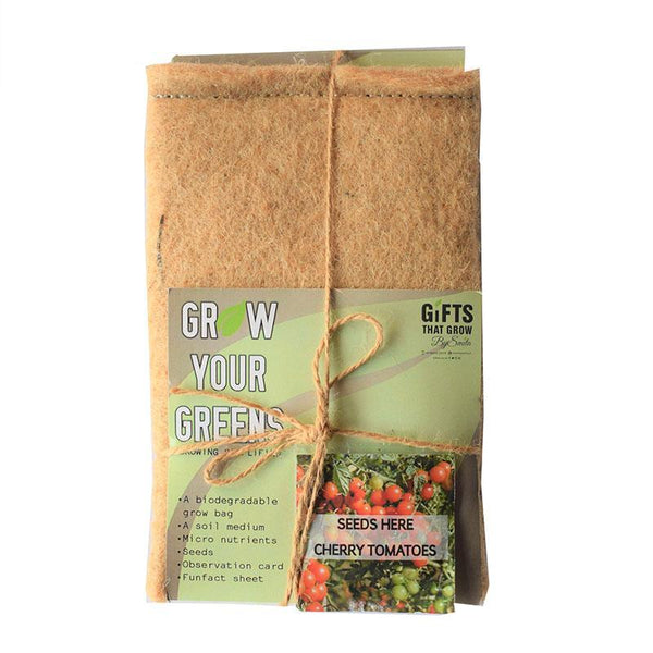 Grow Your Greens Kit: Cherry Tomato