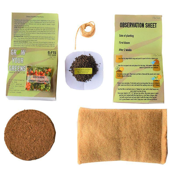 Grow Your Greens Kit: Cherry Tomato