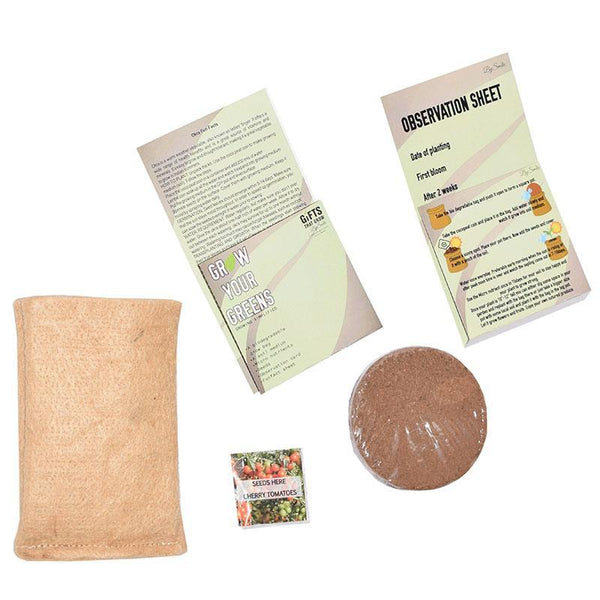 Grow Your Greens Kit: Cherry Tomato