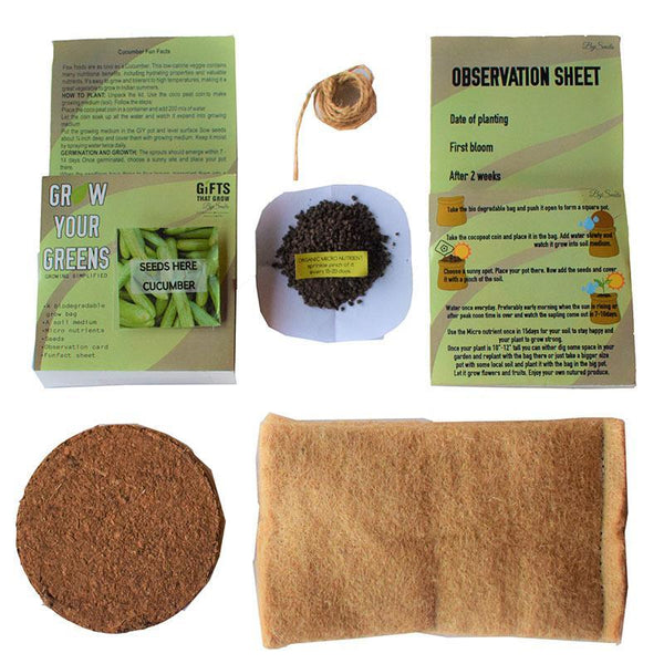Grow Your Greens Kit: Cucumber