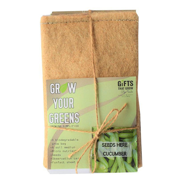 Grow Your Greens Kit: Cucumber