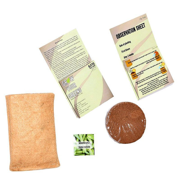 Grow Your Greens Kit: Cucumber