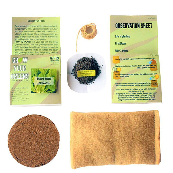 Grow Your Greens Kit: Spinach