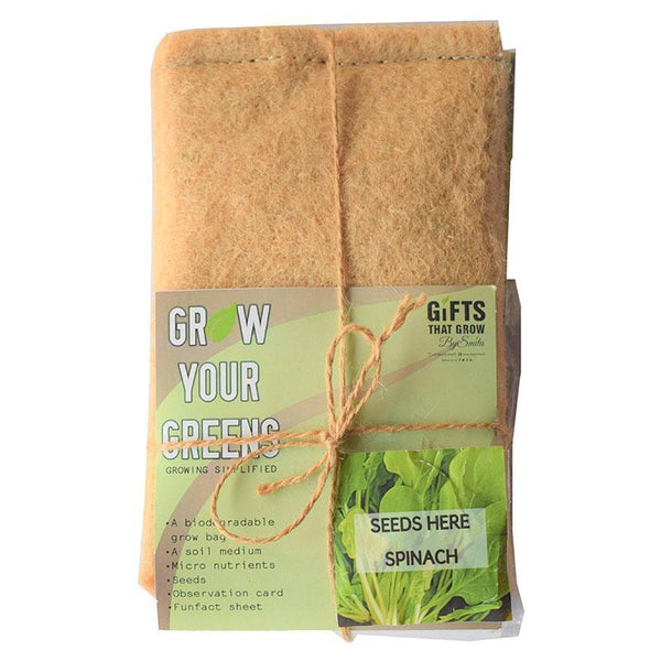 Grow Your Greens Kit: Spinach