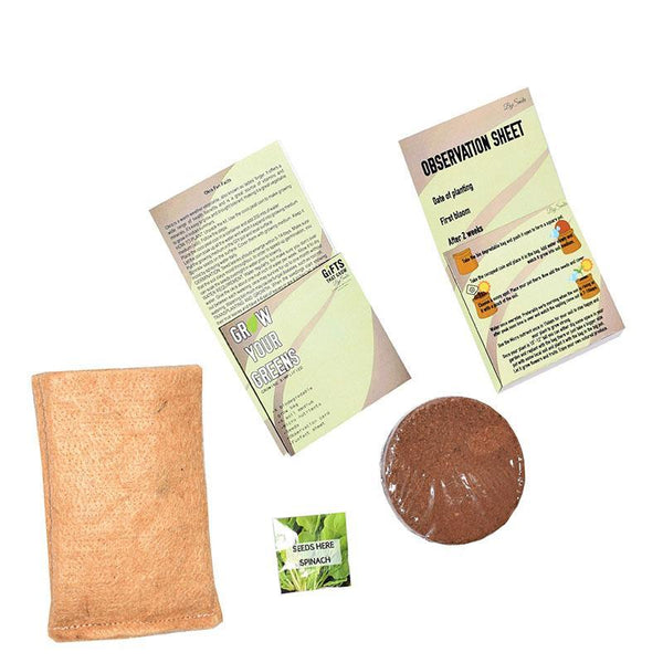Grow Your Greens Kit: Spinach
