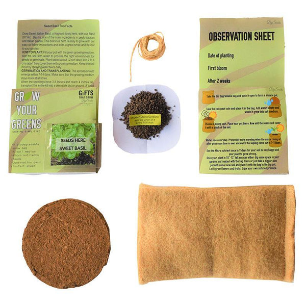 Grow Your Greens Kit: Sweet Basil