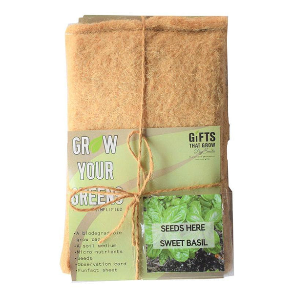 Grow Your Greens Kit: Sweet Basil
