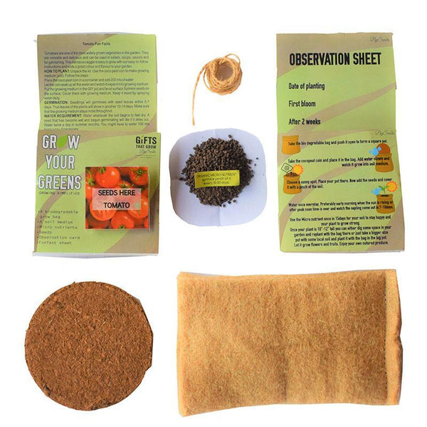 Grow Your Greens Kit: Tomato