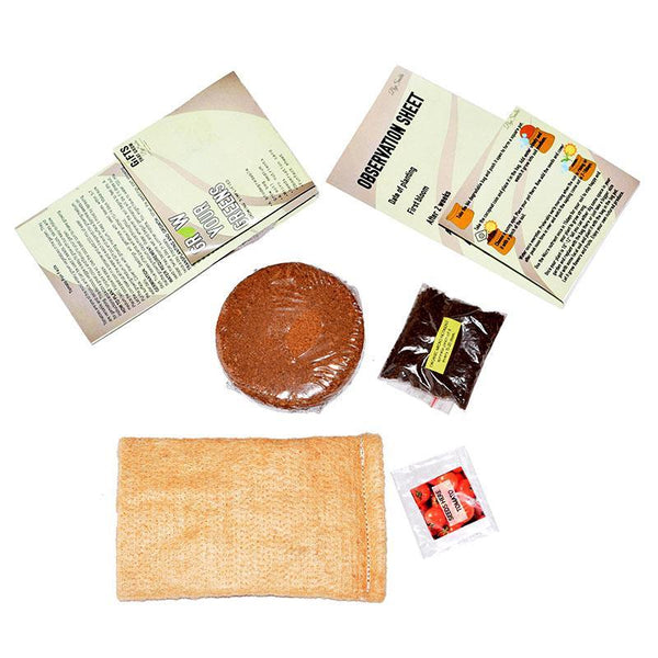 Grow Your Greens Kit: Tomato