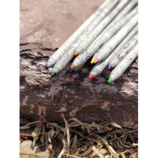 Green Dopo Set Jumbo - Assorted Pencils made from recycled newspaper (6 Packs)