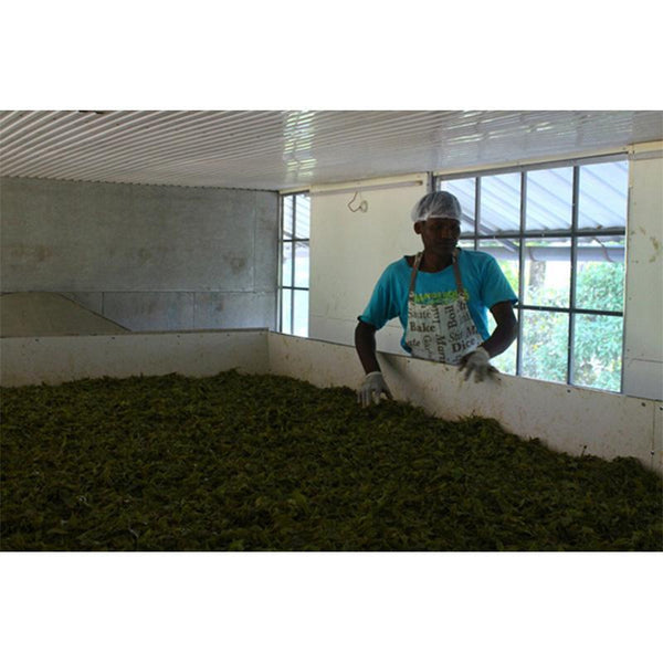 Green Tea (125g) created by the villagers of Palar